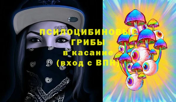 шишки Богданович